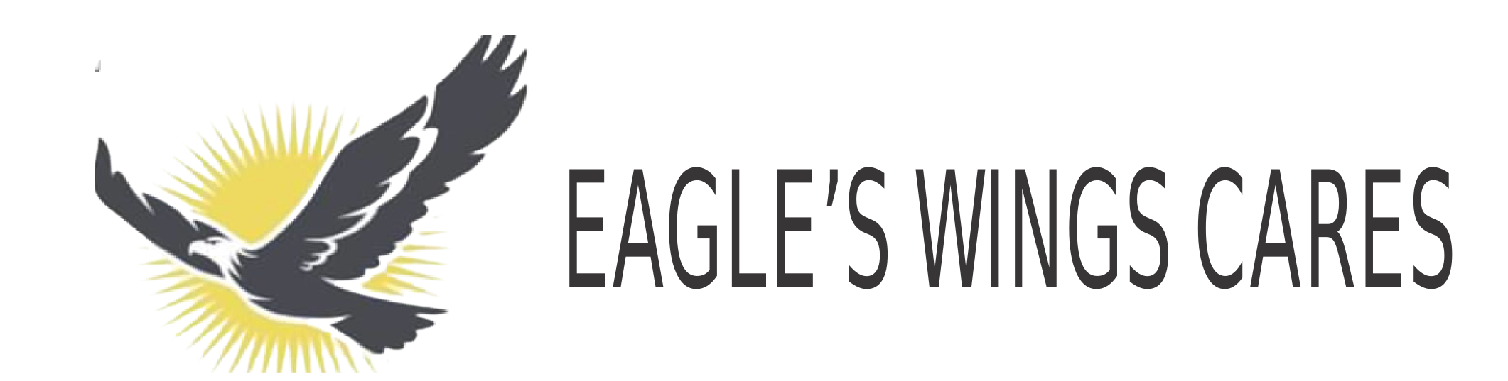 Charity Organization in Indiana | Eagles Wings Cares